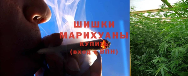 сатива Белокуриха
