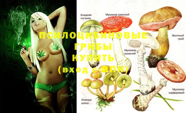 герыч Верея