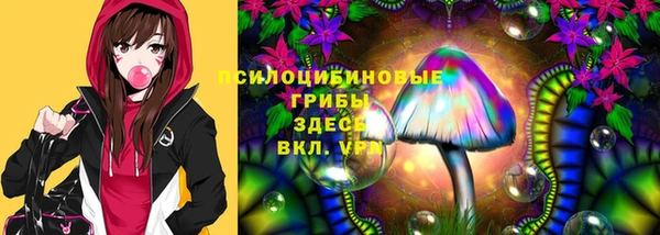 сатива Белокуриха
